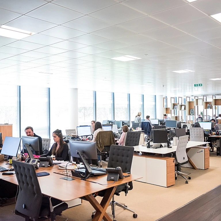 Crafting the Perfect Office Environment in the Arabian Emirates